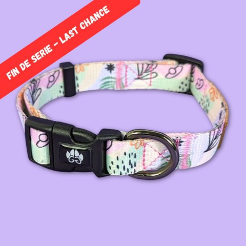 Pastellfarbenes Hundehalsband