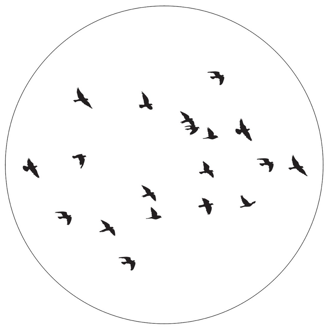 Muurcirkel birds wit
