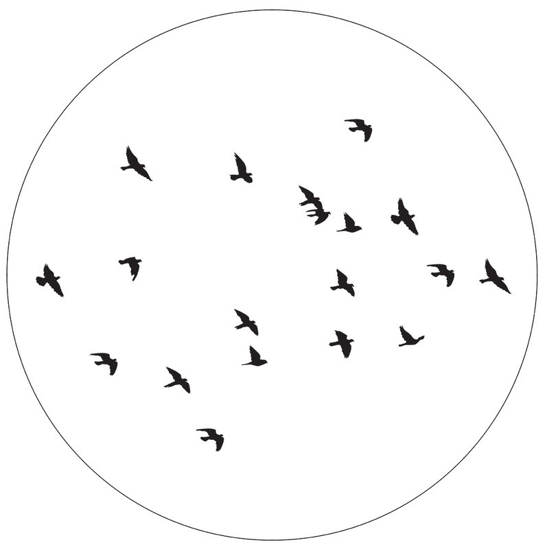 Cercle mural oiseaux blanc