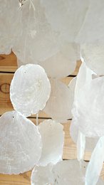 Capiz schelpenhanger Small