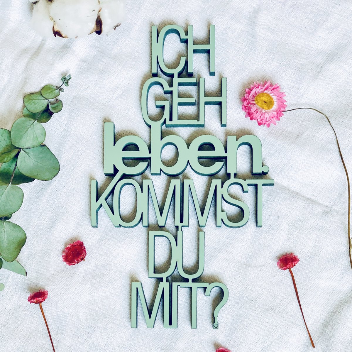 ik ga live. Ga je met mij mee? - Gr. M.