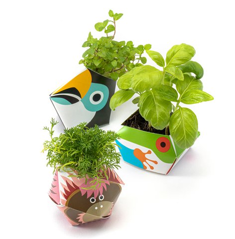 Urban Jungle Kit - Rainforest animals collection
