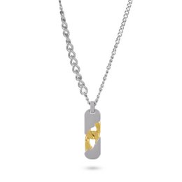 Collier pendentif en argent et en chaîne en or