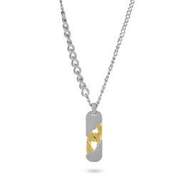 "A silver dog tag pendant with a chain, suitable for casual or formal wear."