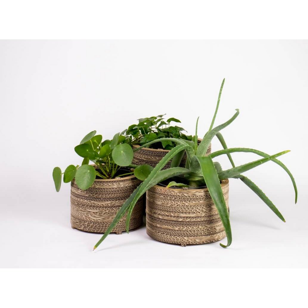 Cache-pot et cache-pot en carton - Roos