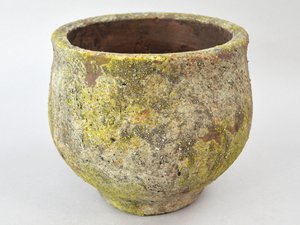 Beton Topf 30 Moos, Swing, 19.5 x 19.5 x 17cm, Stein Optik braun-grün