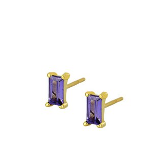 MET Earrings