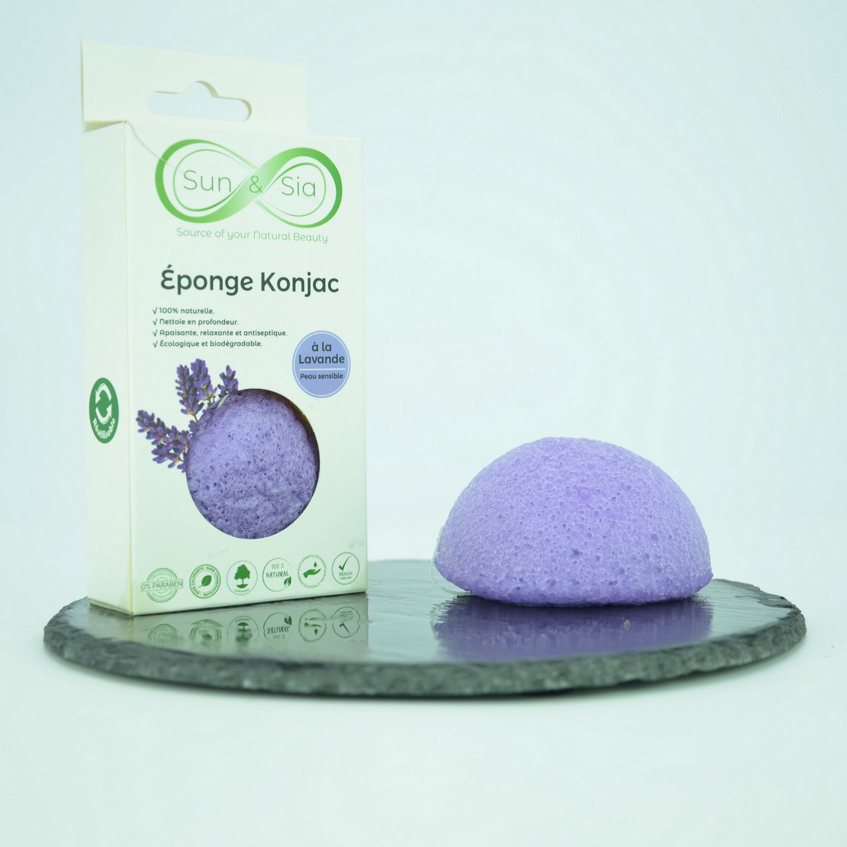 Spugna Konjac 100% naturale viso e corpo - In scatola | Diversi modelli tra cui scegliere