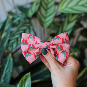 Bow tie - Santa Fe