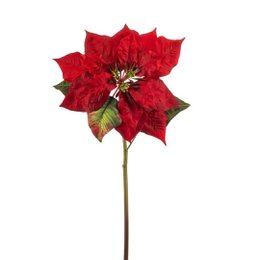 Wildflowers by Floriëtte
