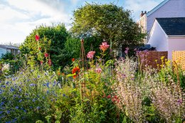Ich träume von einem Cottage Garten. Verliebt in Rittersporn, Phlox & Fingerhut