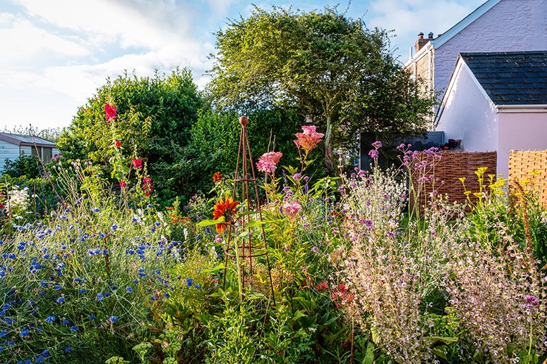 Ich träume von einem Cottage Garten. Verliebt in Rittersporn, Phlox & Fingerhut