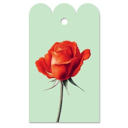 Gift Tag Rose