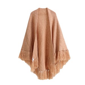 Poncho camel