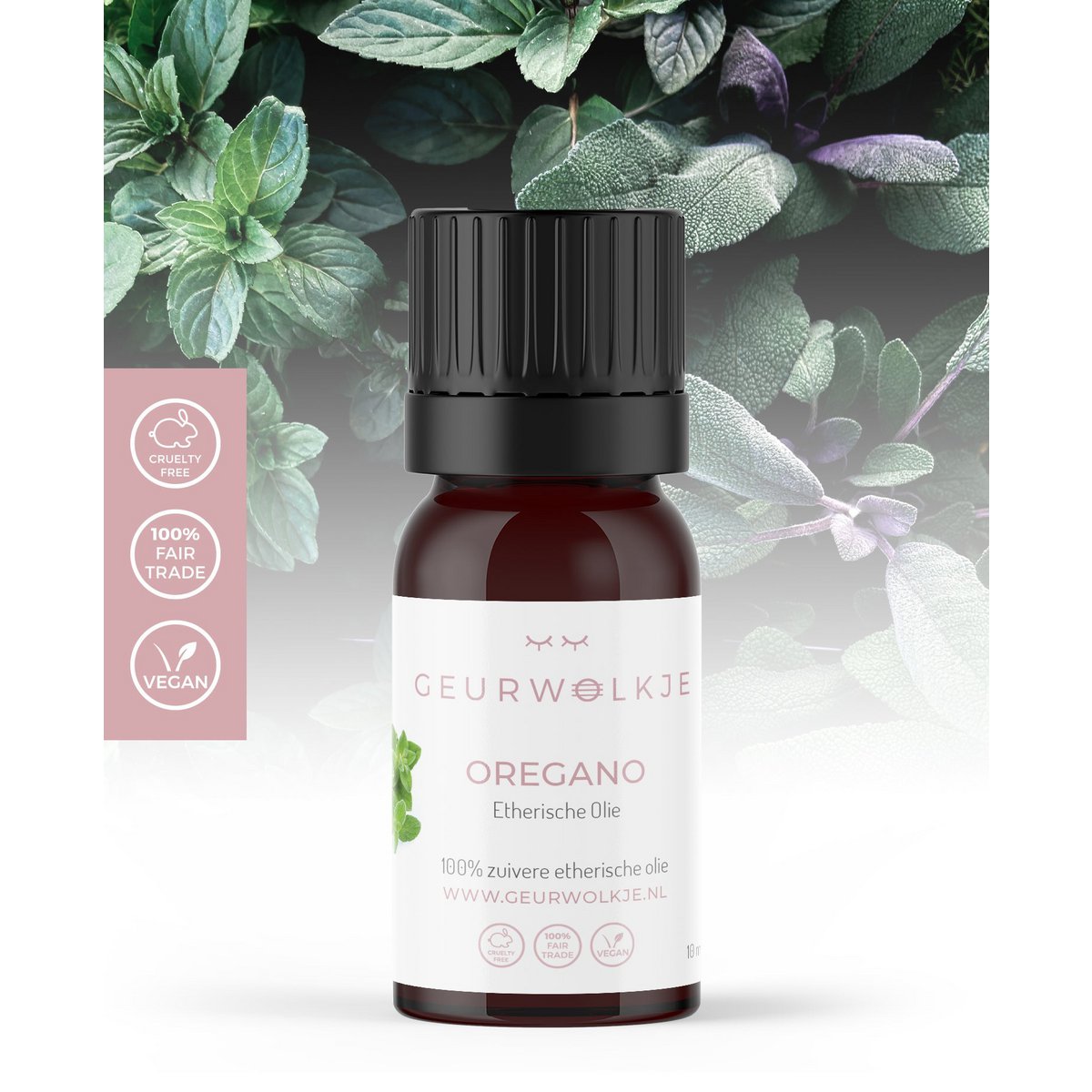 Oregano - 100% essential oil - 10 ml - suggested retail price € 8.95