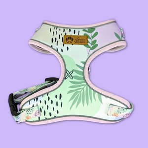 Pastel Classic Harness