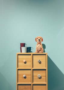 3D plug-in figure "Puppy"