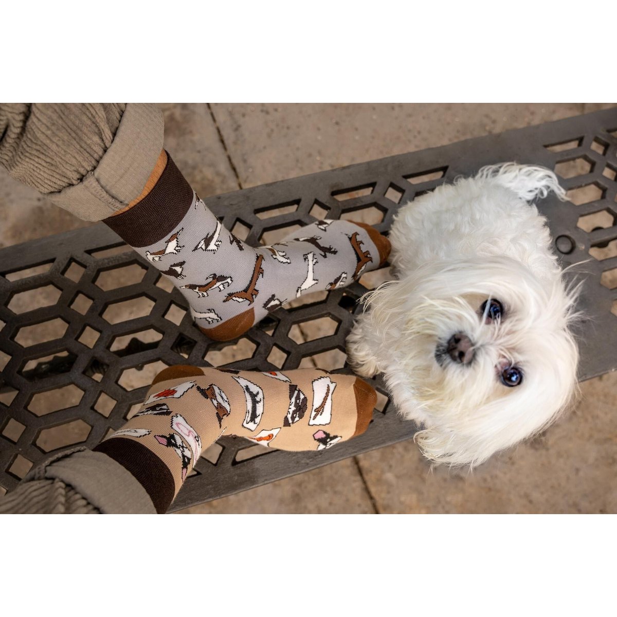 Casual sokken - honden