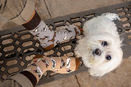 Casual sokken - honden