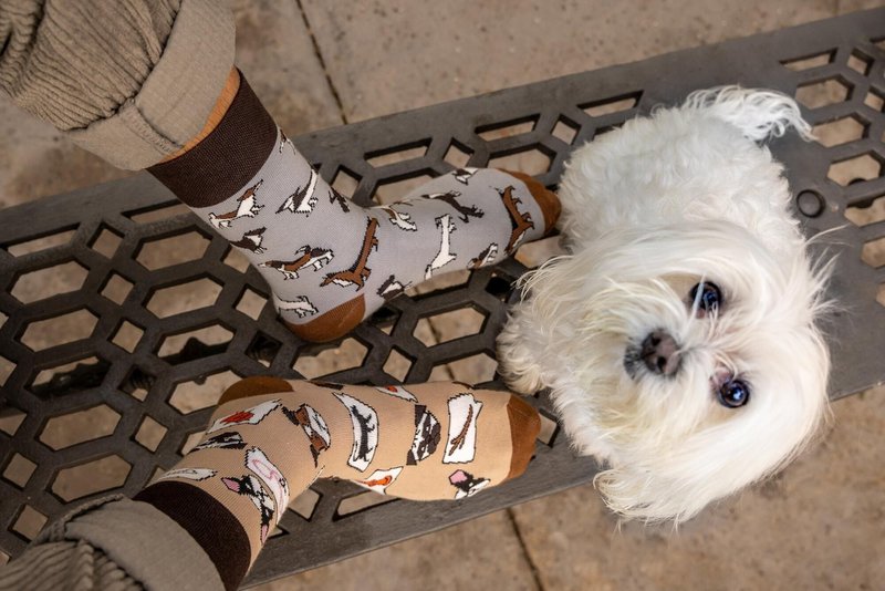 Casual sokken - honden