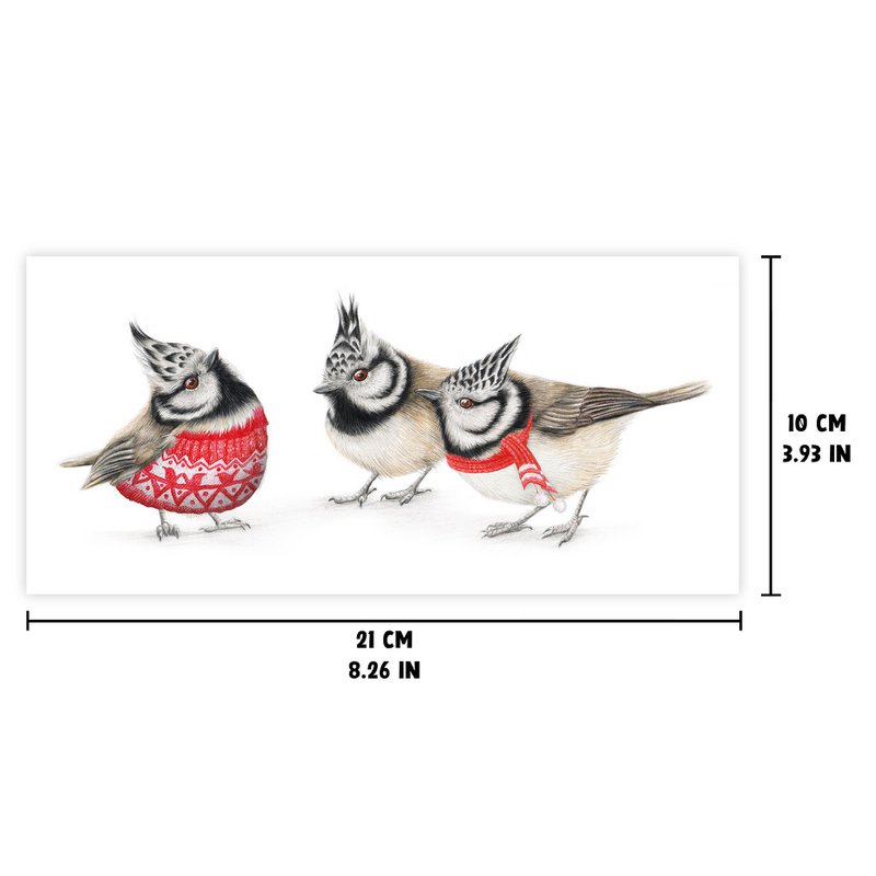 Tarjeta de Navidad, Tarjeta navideña de pájaros, Tarjetas de felicitación de animales