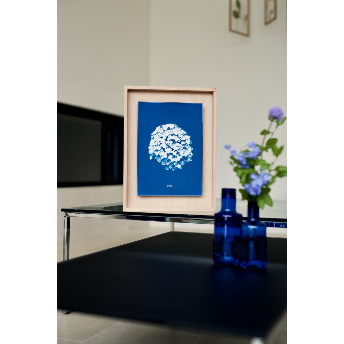 Cyanotypie Hortensia