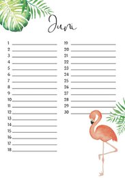 fødselsdagskalender