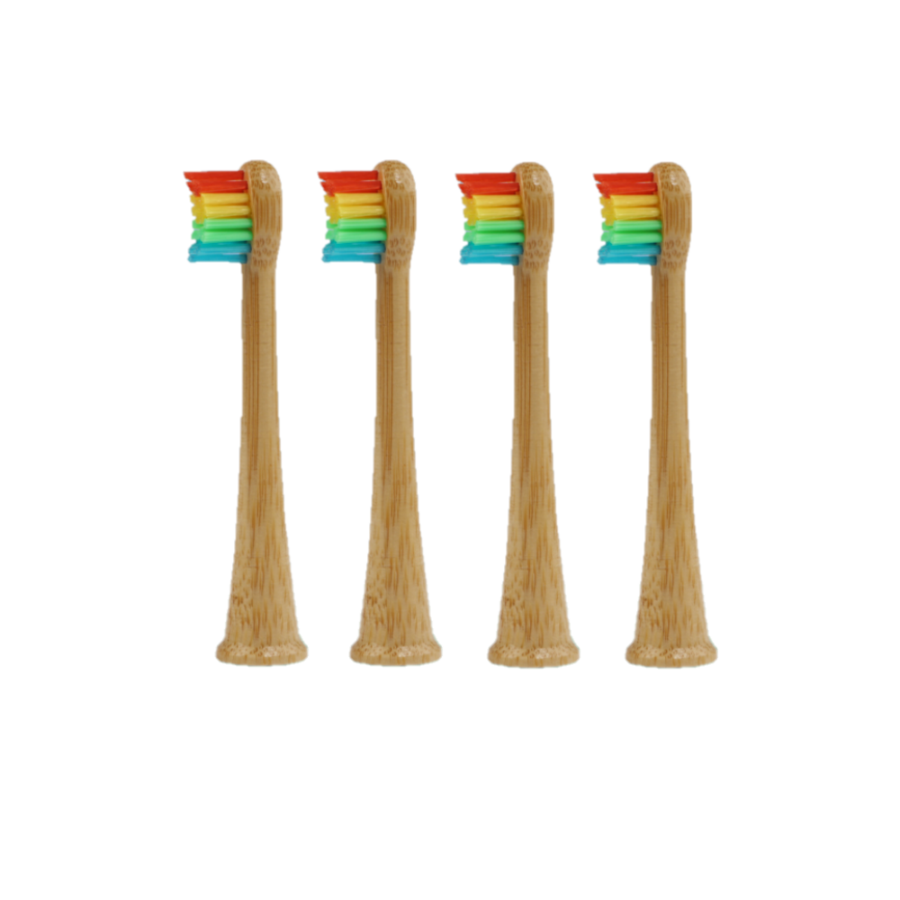 Regenboog