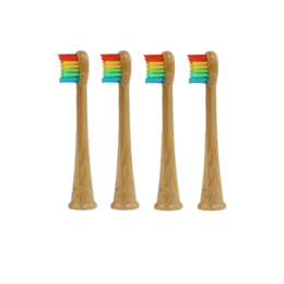 Regenboog