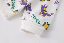 Bluza z dzianiny frotte dla chłopca