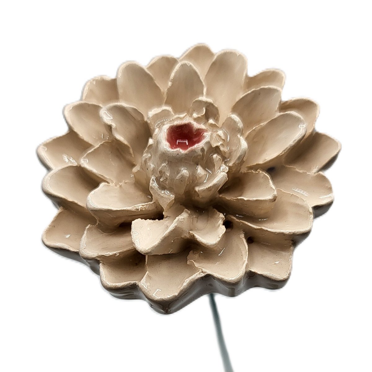 Dahlia white