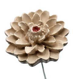 Dahlia white