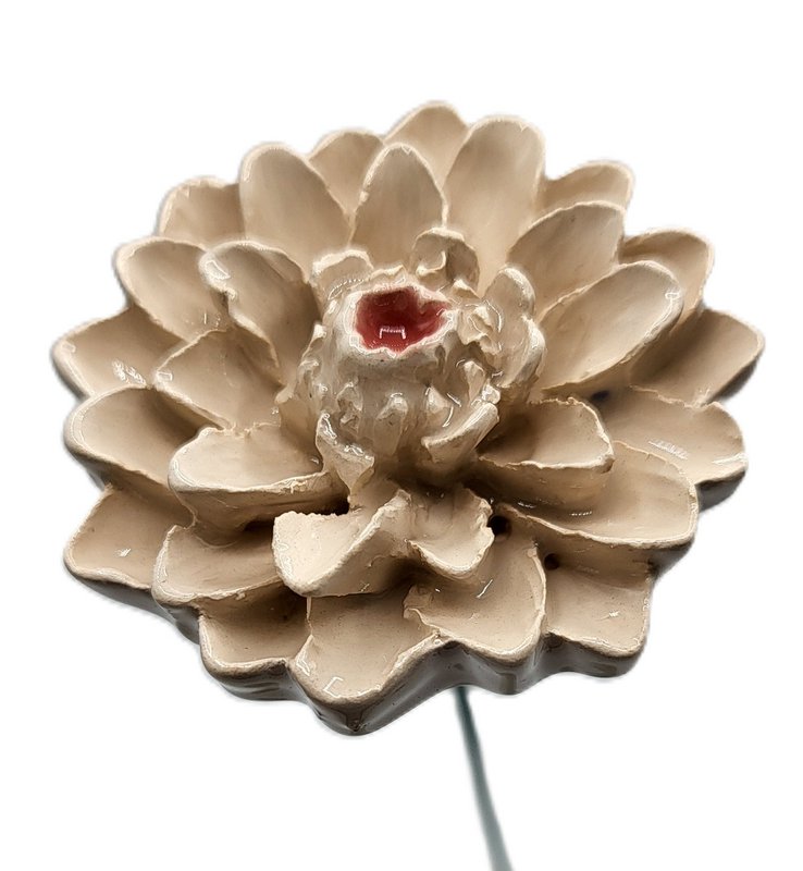 Dahlia white