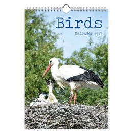 0010 Birds 2027