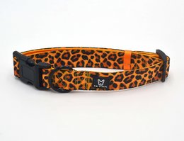 Hundehalsbånd Go Wild