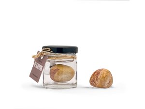Pot of protection - Petrified wood