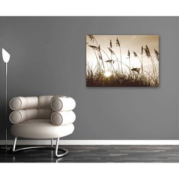 Acrylic glass billede - Abby