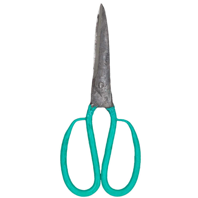 AUTEHNTIC LAMES THO grands, ciseaux de cuisine, tranchant 9cm