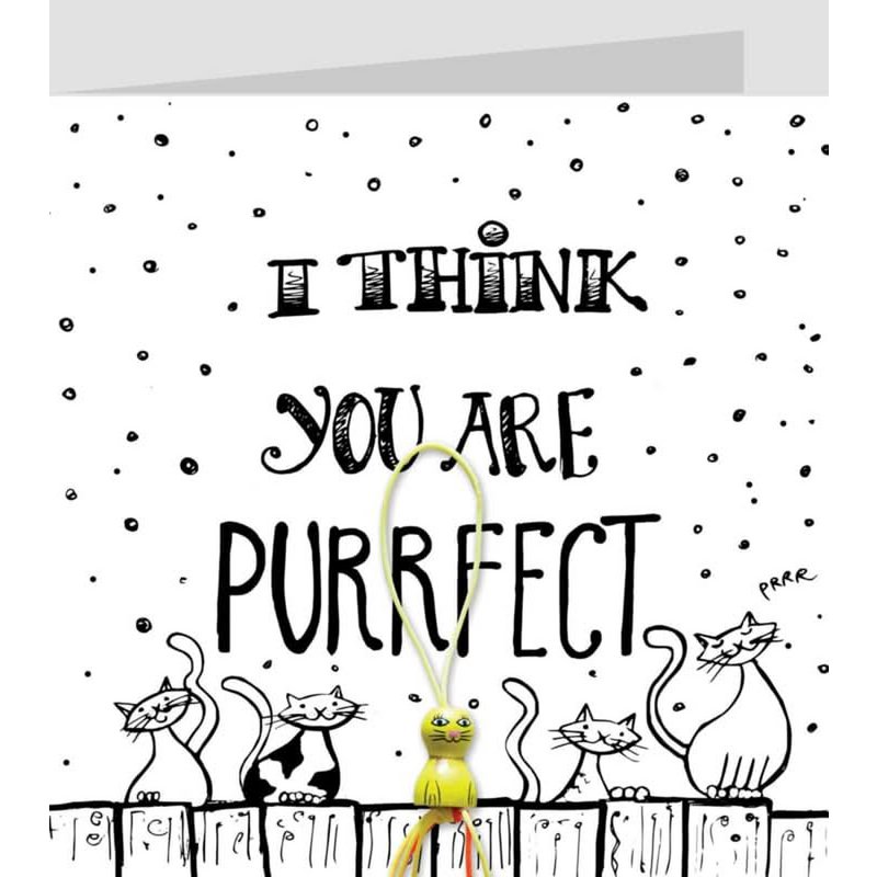ZW I think you are purrfect