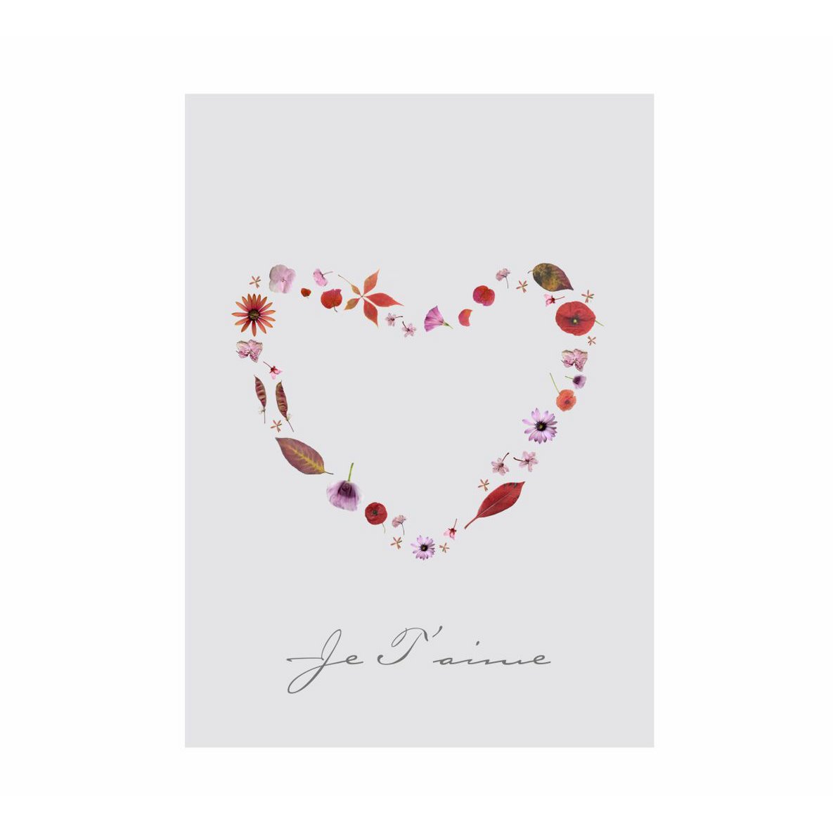 SPEDIZIONE N.3 | A6