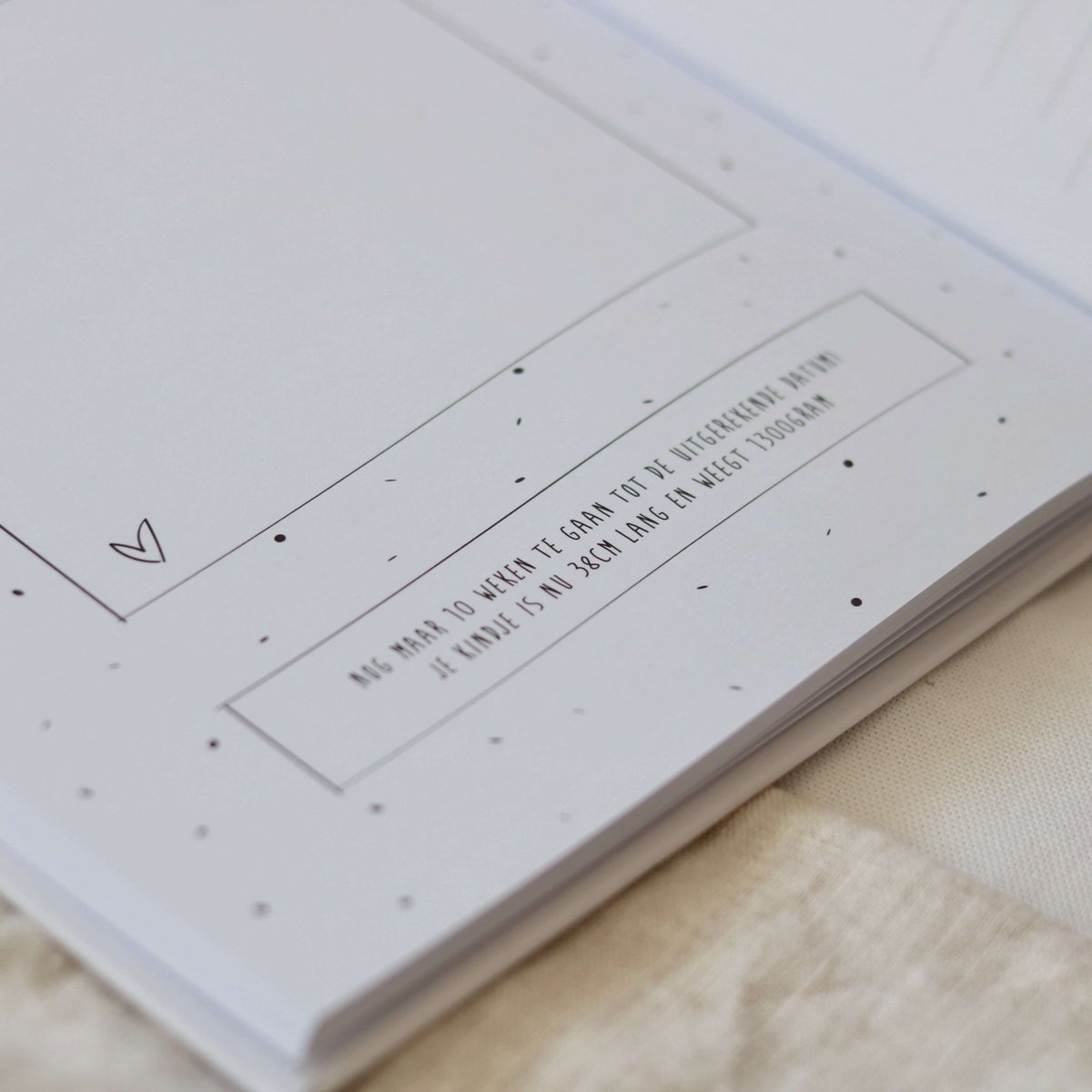 My 9 months diary linen cover