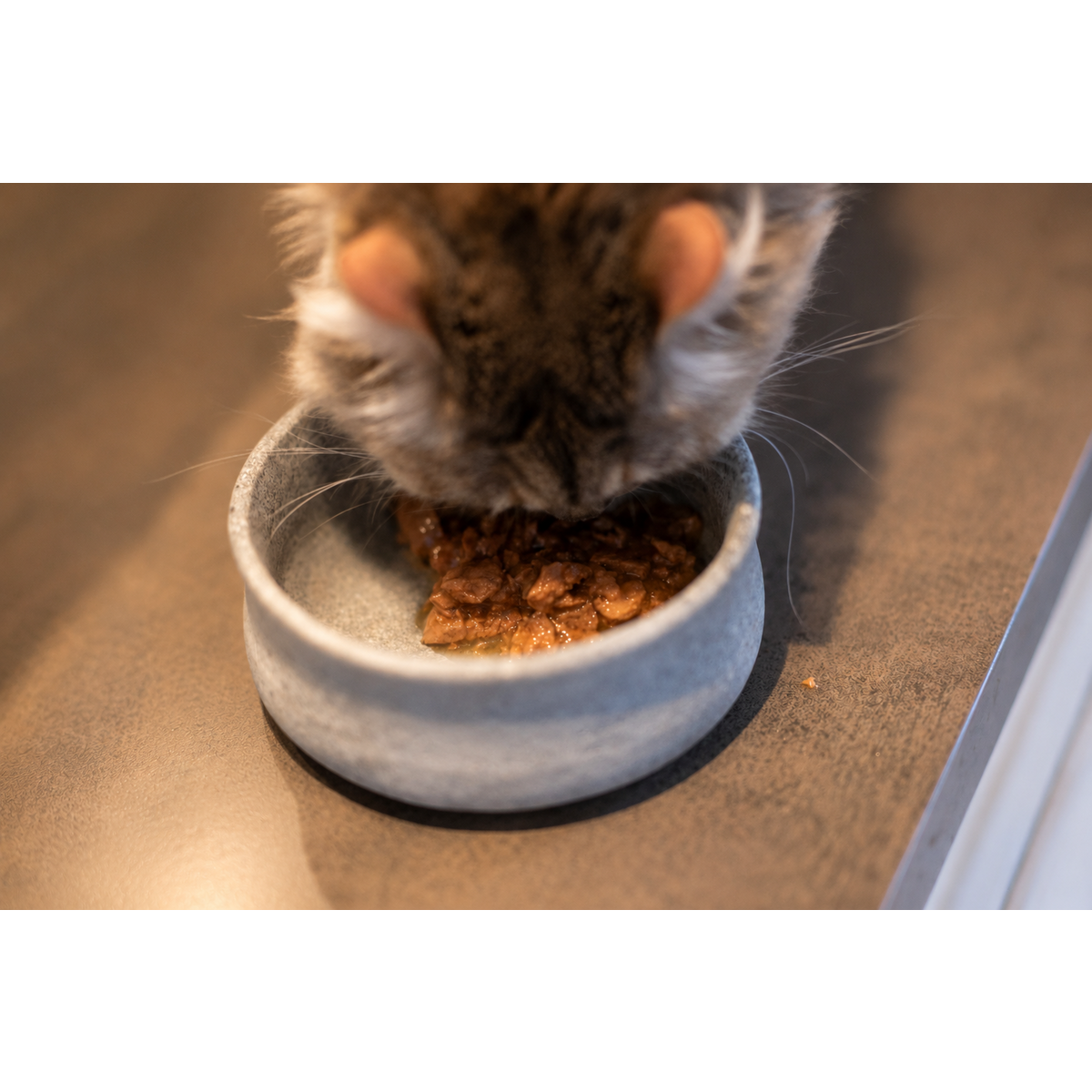 DIBAQ SENSE Katzen Happen in Soße Huhn mit Lachs 100g