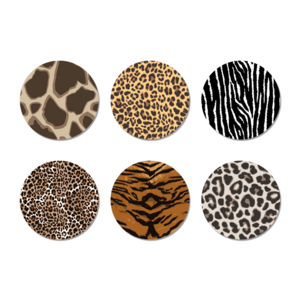 Coasters safari