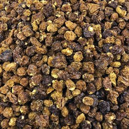 Organic Physalis in Bulk