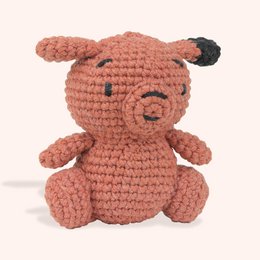 Sensy Crochet Amigurumi Kit
