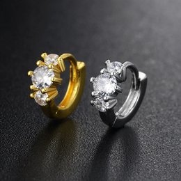 Rvs Hoop Earring Vrouwen Zirconia Crystal Piercing Oor Daith Helix Tragus Kwab Kraakbeen Stud Earring Piercing Sieraden