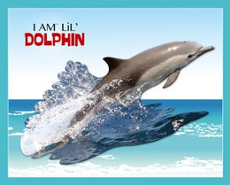 I Am Lil' - Dolfijn