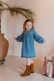 Marina Denim Dress