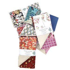 Ecological all-purpose wipe, “Panache”