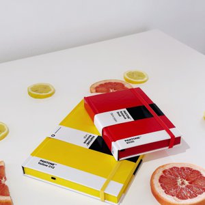 PANTONE NOTEBOOK LARGE - DOTTED PAGES